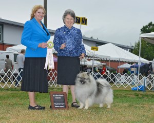 Gemma (Kidkees Take a Chance On Me RE) was Best Altered Companion at the Pacific Crest Keeshond Club Specialty last weekend. She's bred by me and co-owned by Nancy Baggott. She also finished her Rally Excellent title there! She is a Kiefer daughter and Sprite's litter sister.