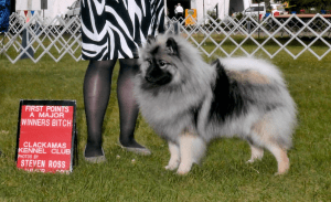 Tallinn earned her first points. A FIVE POINT MAJOR! This was a very good day.